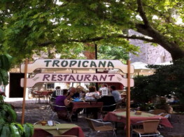 Tropicana_outdoors_8